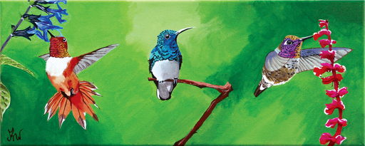 Impression "Les 3 colibris"